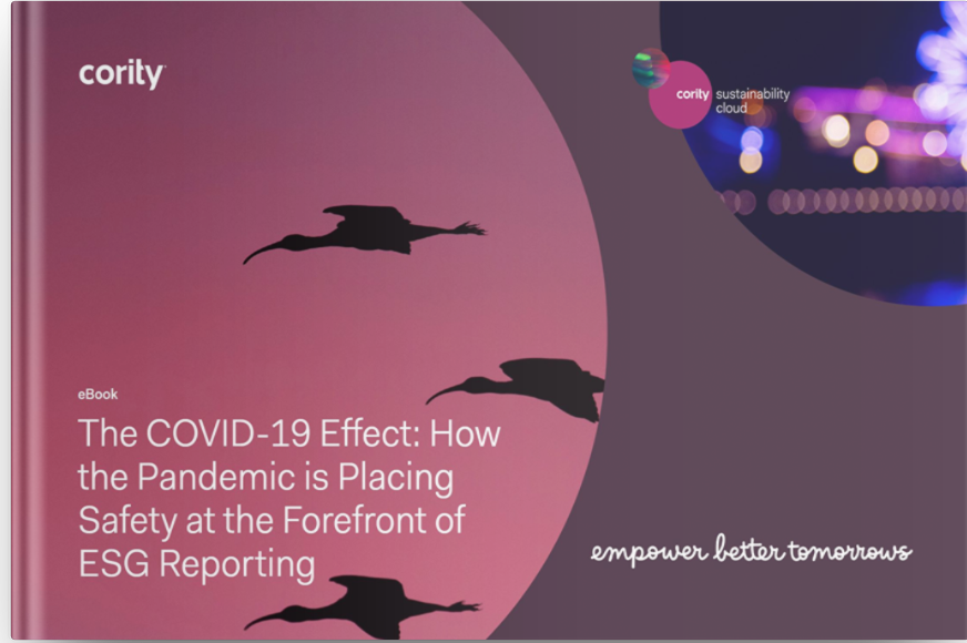 Silhouettes of birds flying against a pink sky, with text exploring COVID-19’s impact on ESG Reporting.