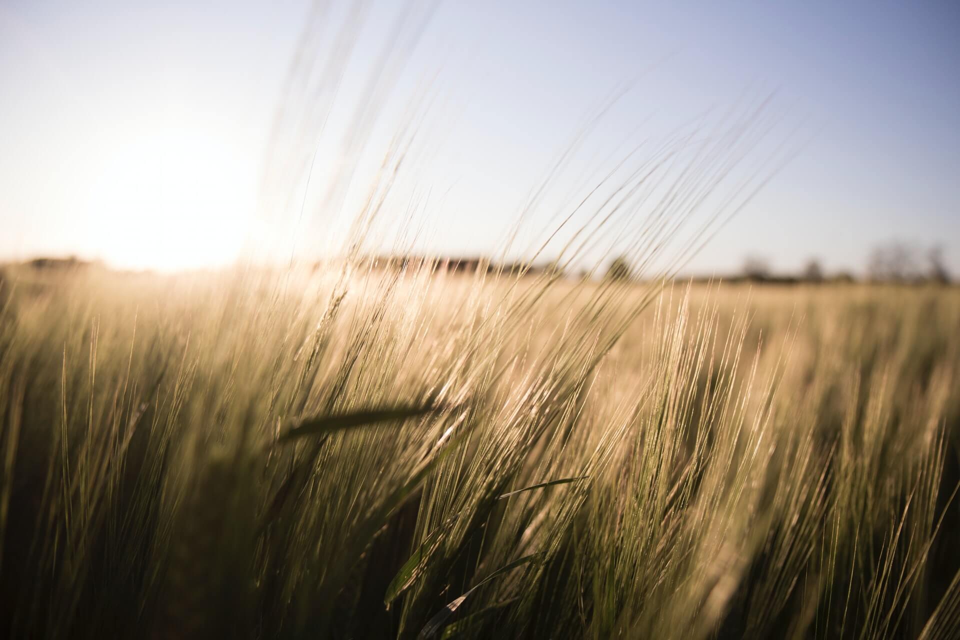 6 Common Waste Management Challenges (And How to Solve Them)