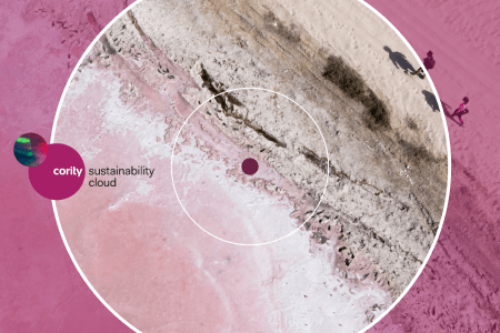 The Role of EHS in ESG and Sustainability