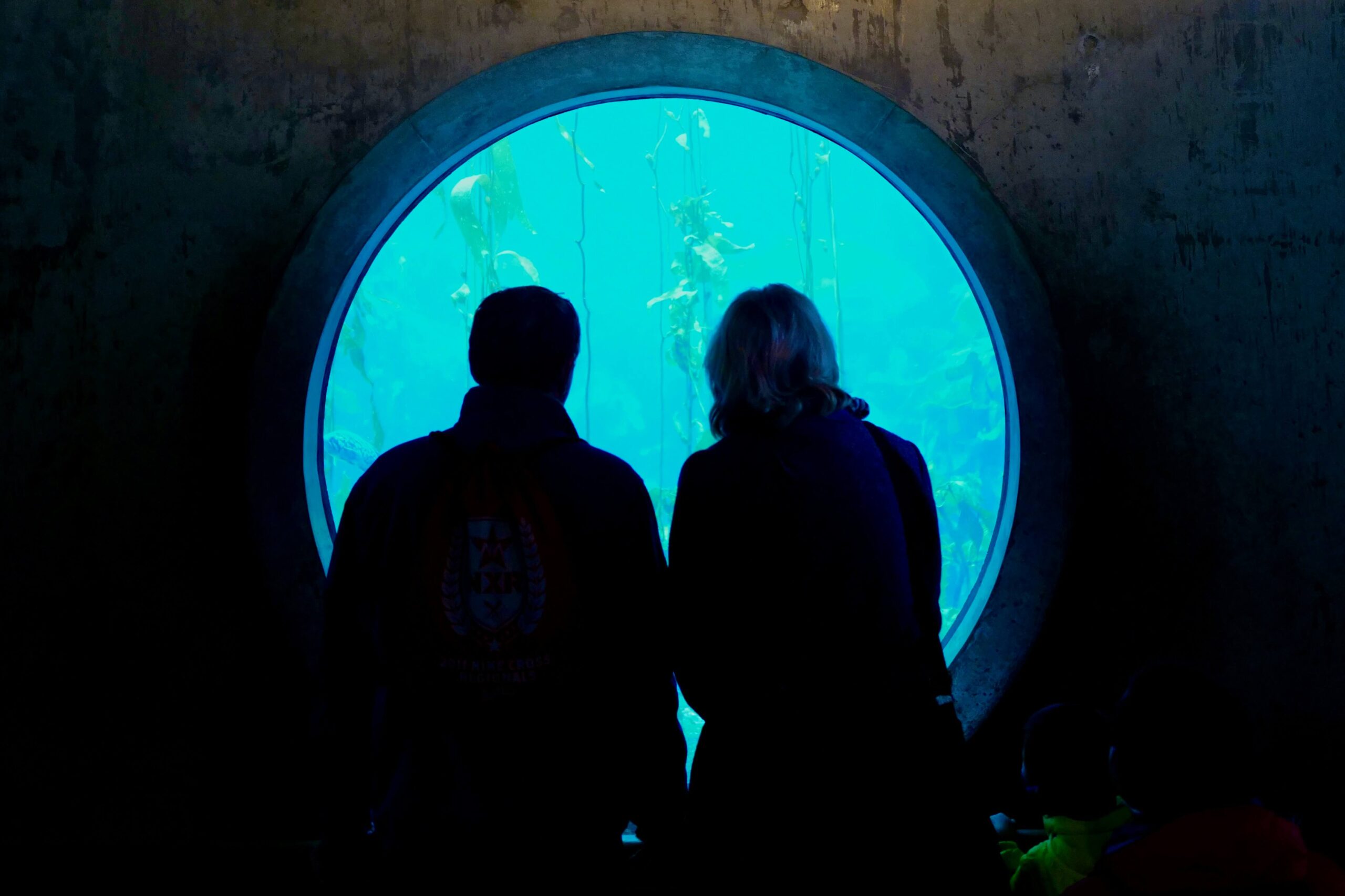 Occupational Health Clinic Software Blog People at Aquarium Photo Cority