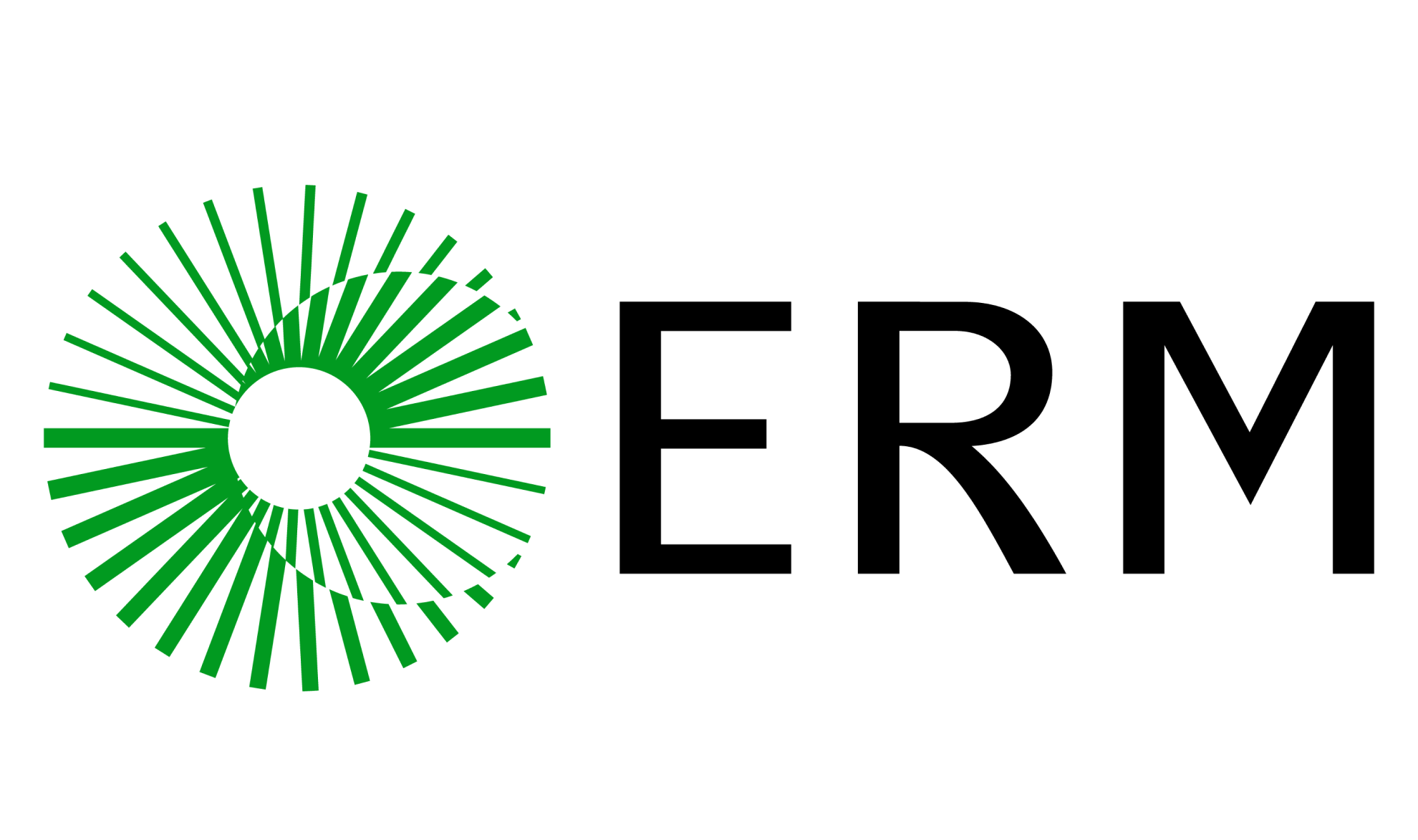 A green circular abstract design made of radiating lines sits to the left of bold black capital letters spelling ERM on a white background.